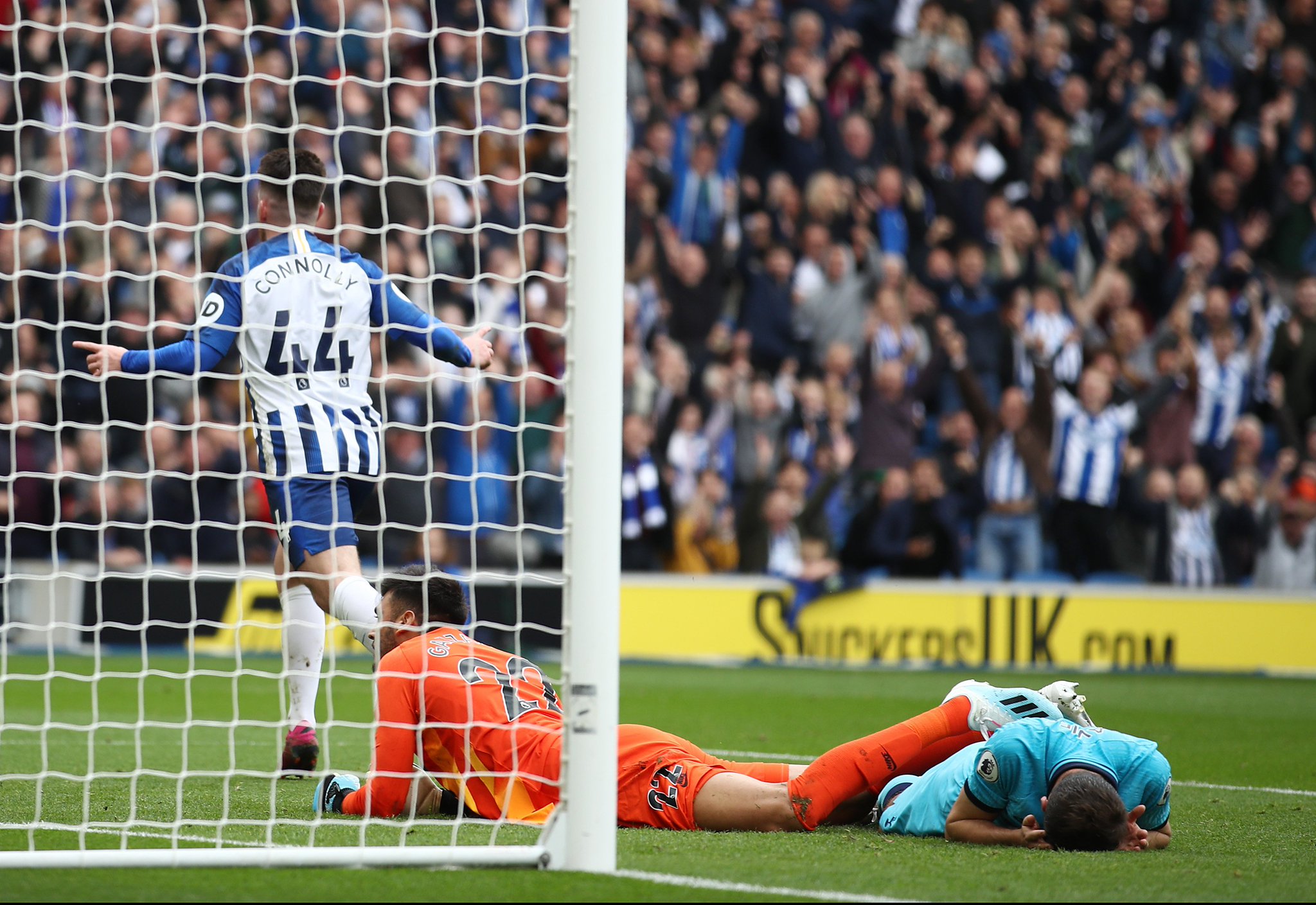 的球迷而言 的球迷而言